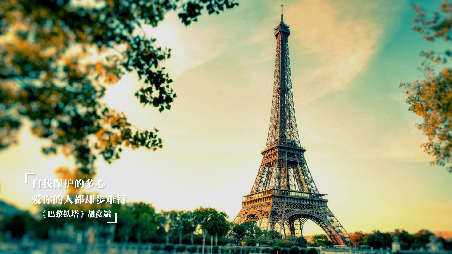 美国队在国际乒联混合团体世界杯中的强势崛起，美国乒乓球赛事