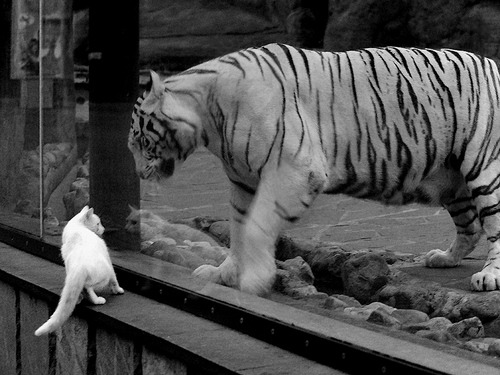 足球训练课强调节奏与协作并重,足球训练课强调节奏与协作并重的原因