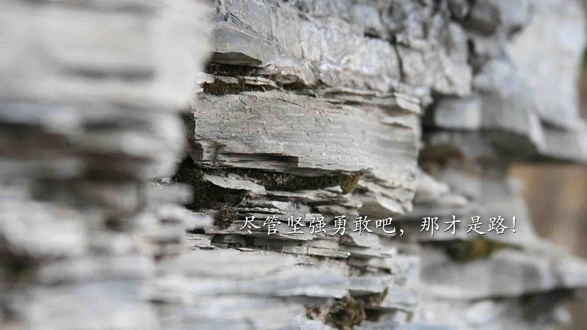 马术场地障碍赛年度总决赛冠军诞生，2021年全国马术场地障碍锦标赛