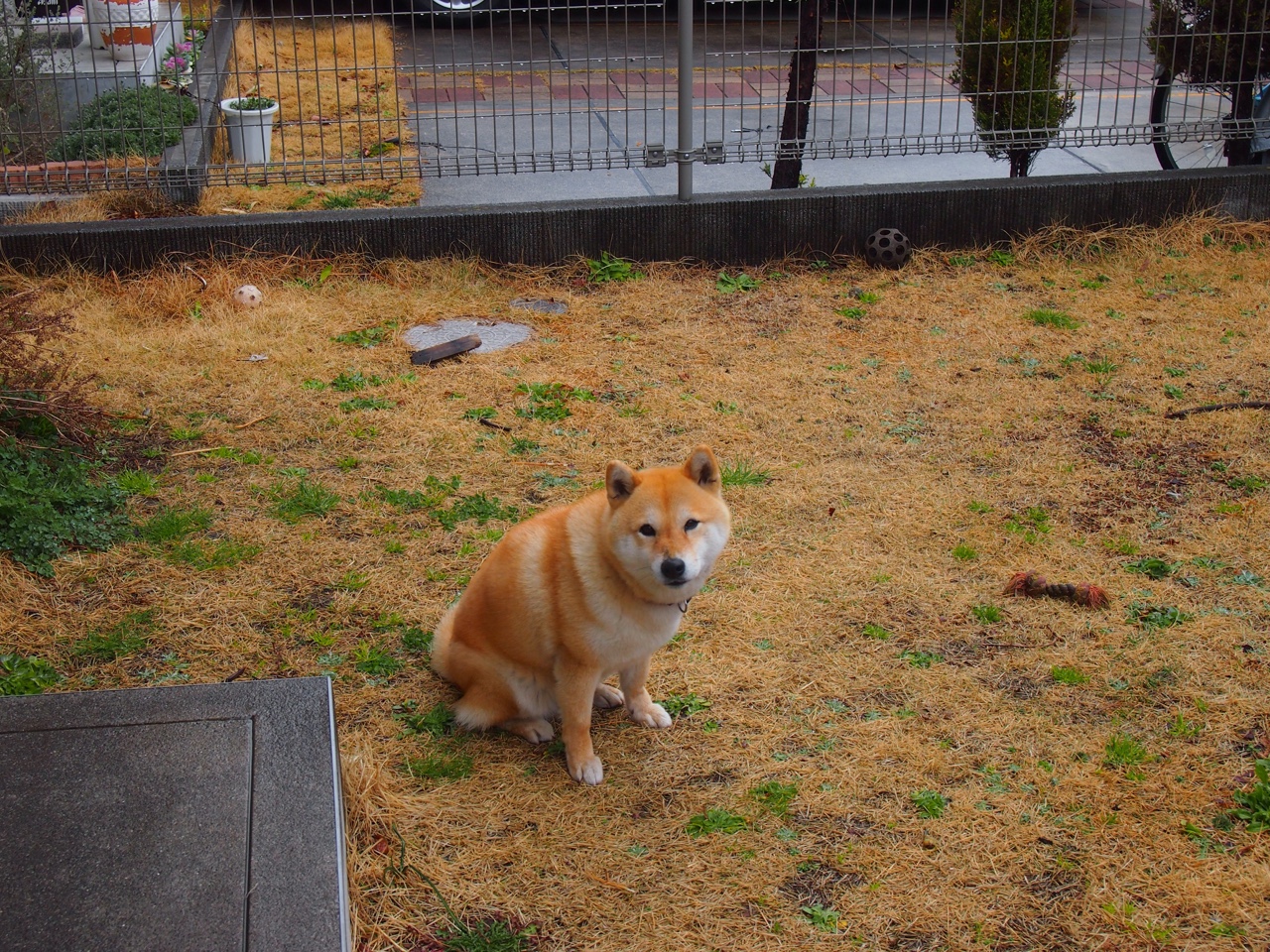 马术场地障碍赛年度总决赛冠军诞生，2021年全国马术场地障碍锦标赛