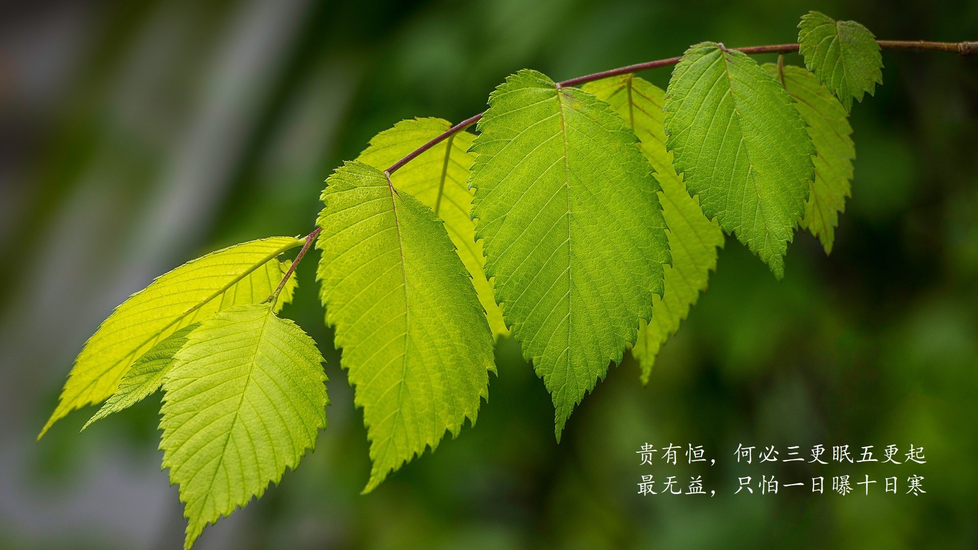 CBA球队加强防守端数据分析，cba球队防守效率排名