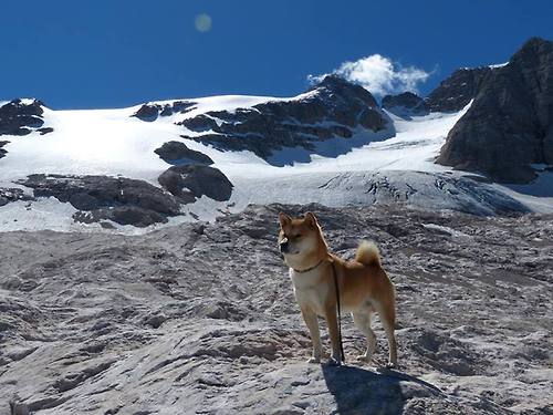 亚洲杯中国足球战胜 球迷集体庆祝胜利，中国足球亚洲杯亚军